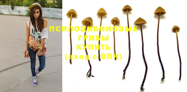 винт Аркадак