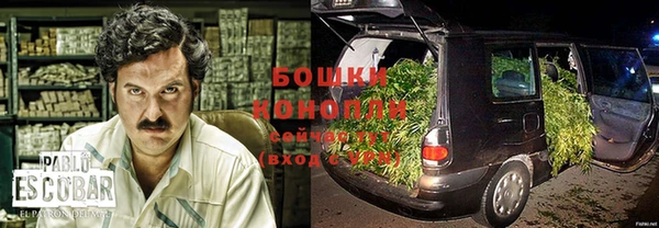 винт Аркадак