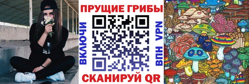 Галлюциногенные грибы прущие грибы  МЕГА ТОР  Удачный 